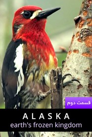 آلاسکا: قلمرو یخ زده سیاره زمین: تابستان آلاسکا: قلمرو یخ زده سیاره زمین: تابستان